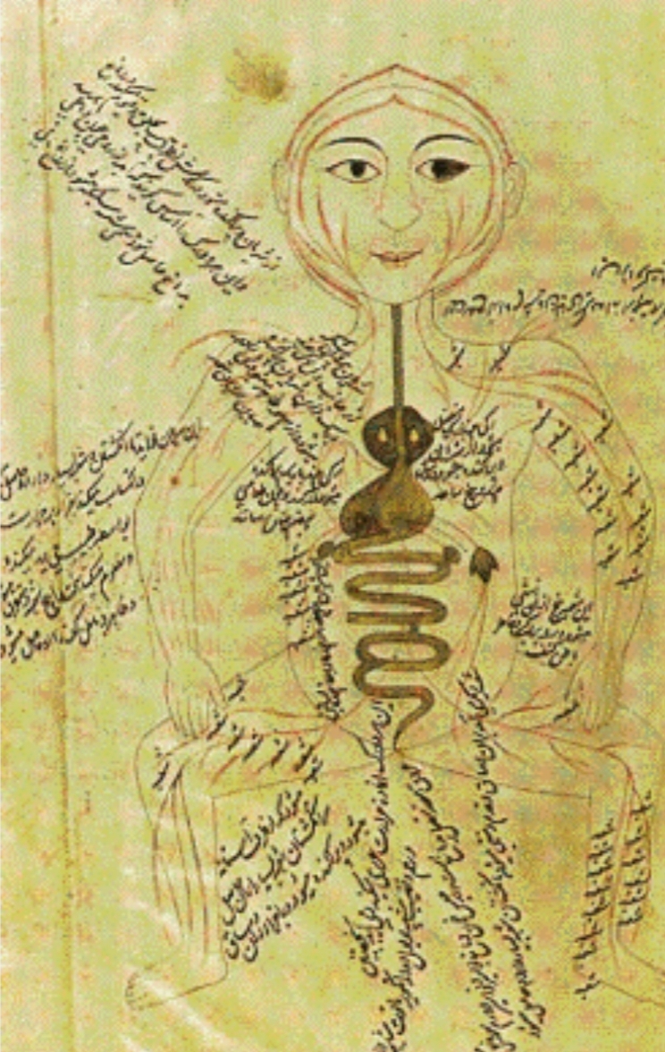 کتاب قانون